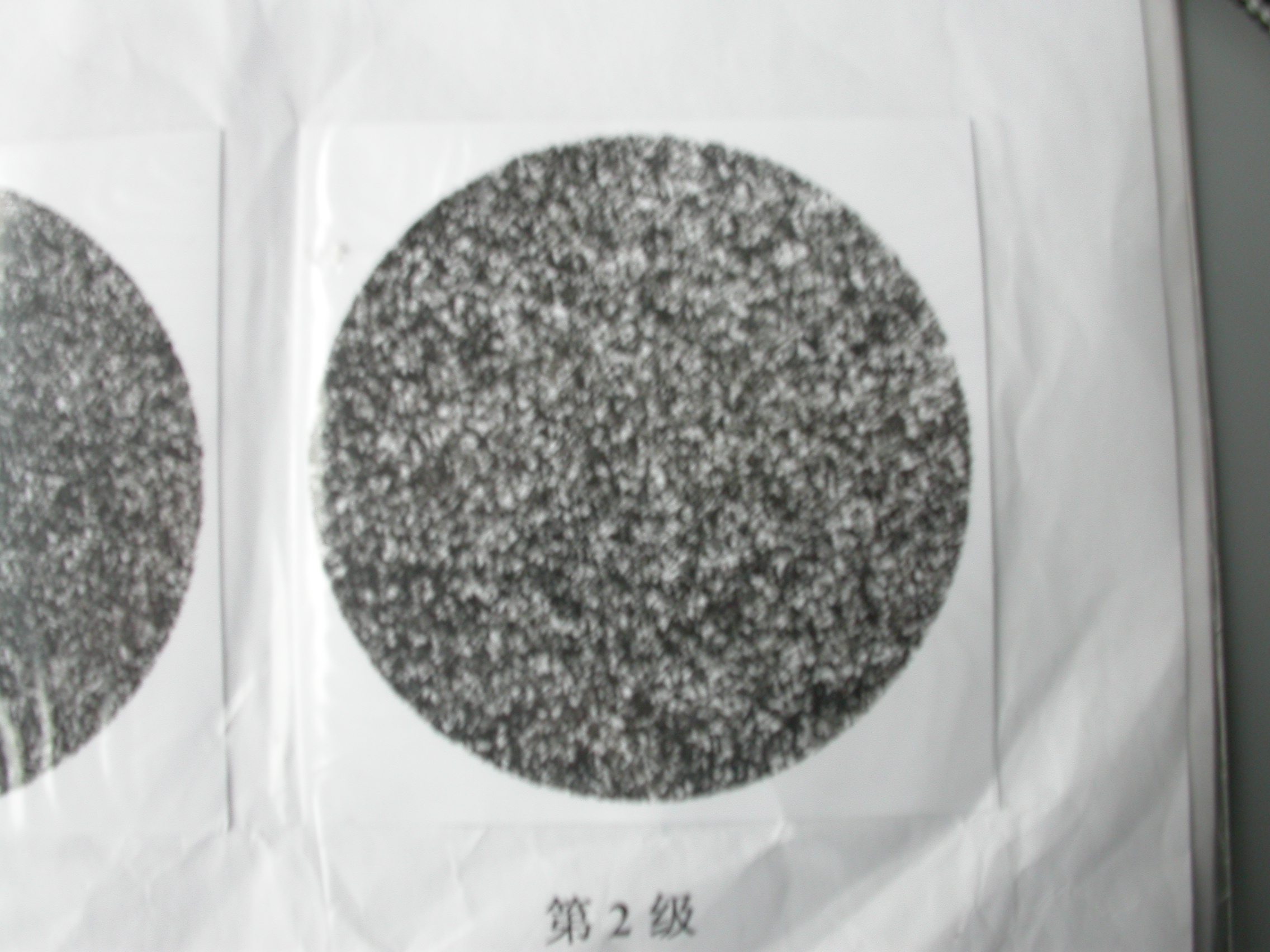 DSCN2481.JPG