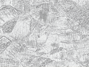304（1000×）.jpg