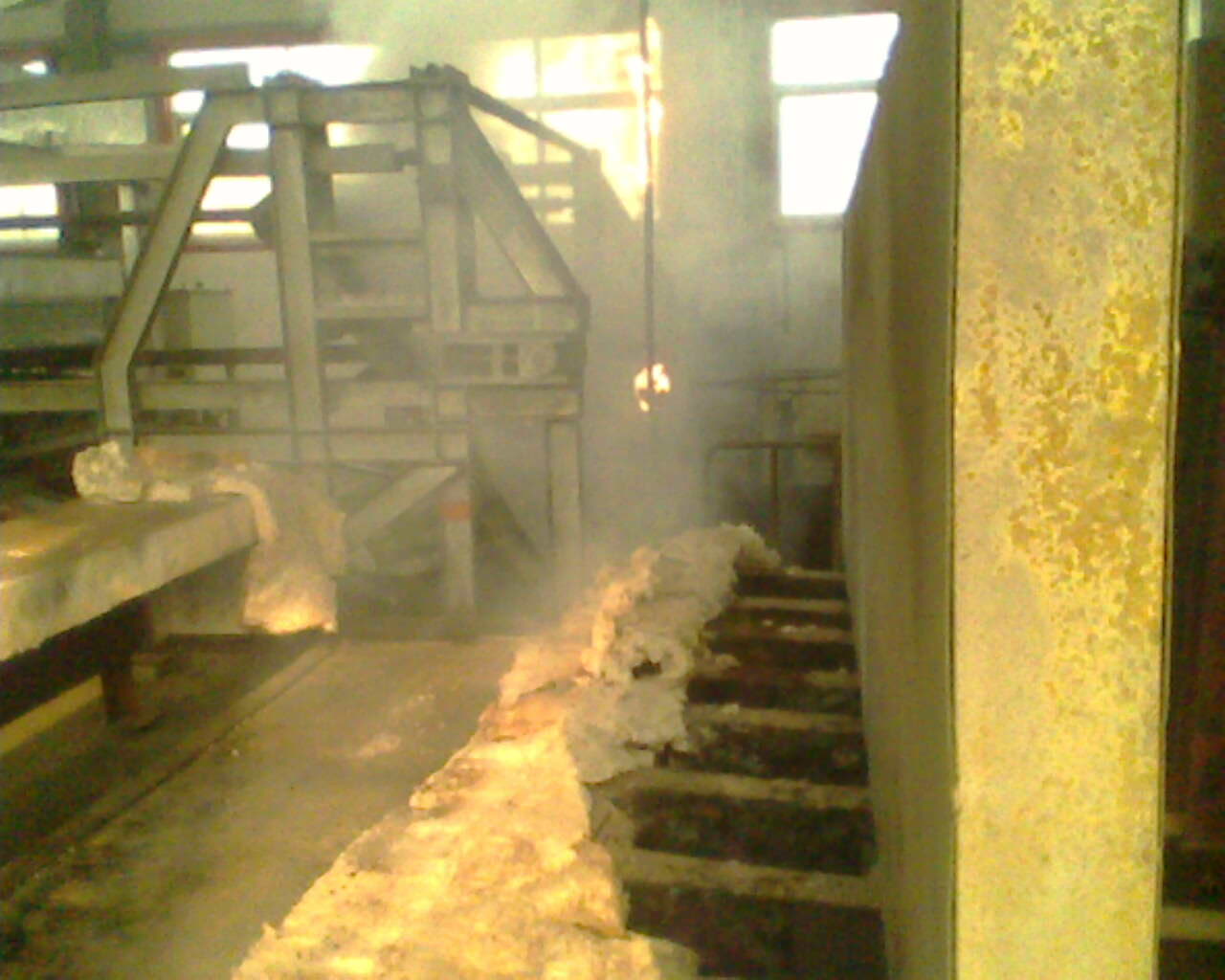 IMG0295A.jpg