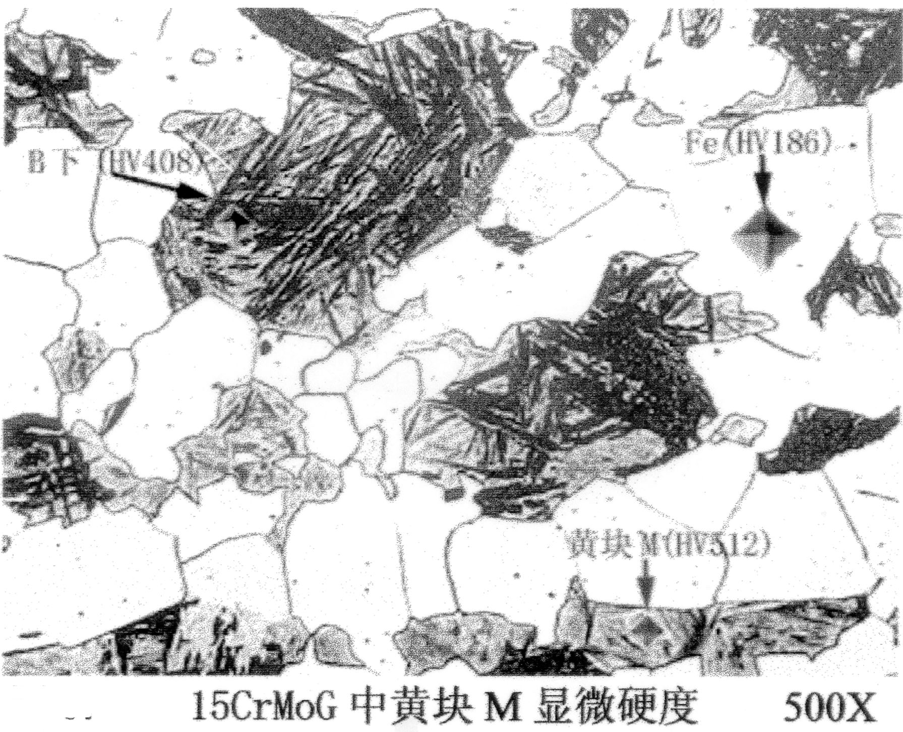 黄块马氏体1.jpg
