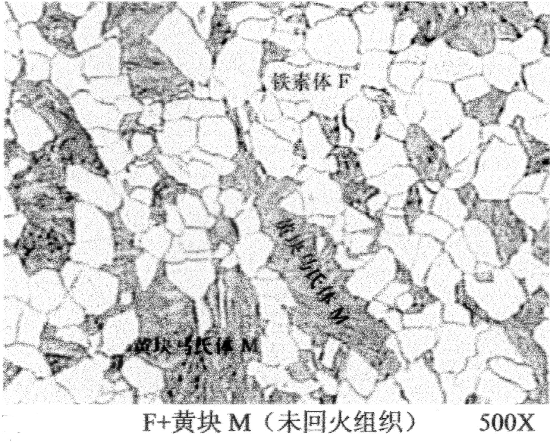 黄块马氏体.jpg