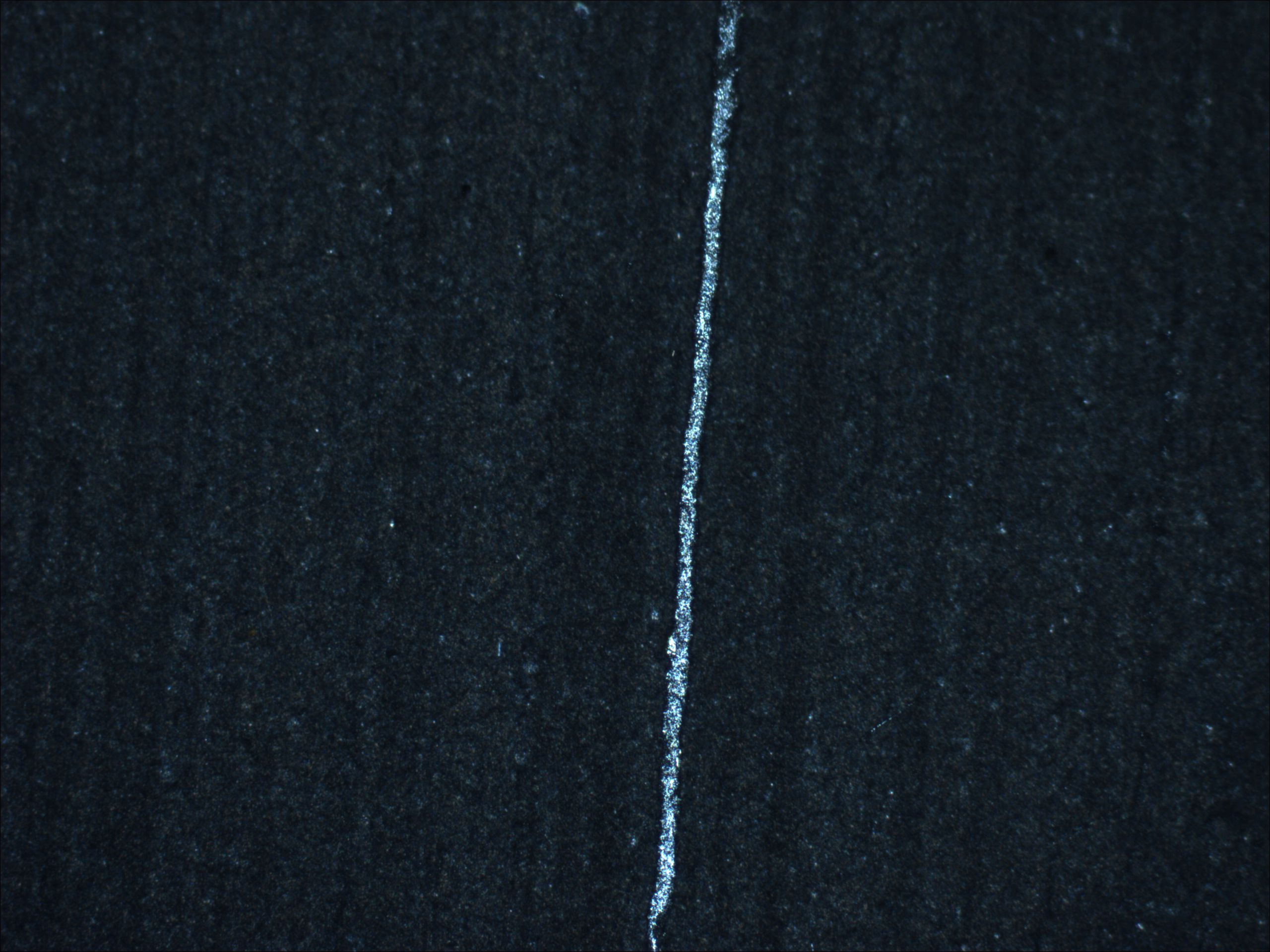 cl-cd2-100x.JPG