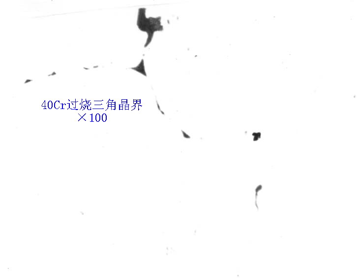 40Cr过烧三角晶界.jpg