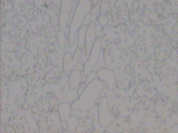 cr1000a 拷贝.jpg