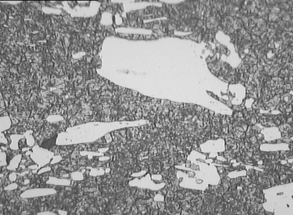 003-500.jpg