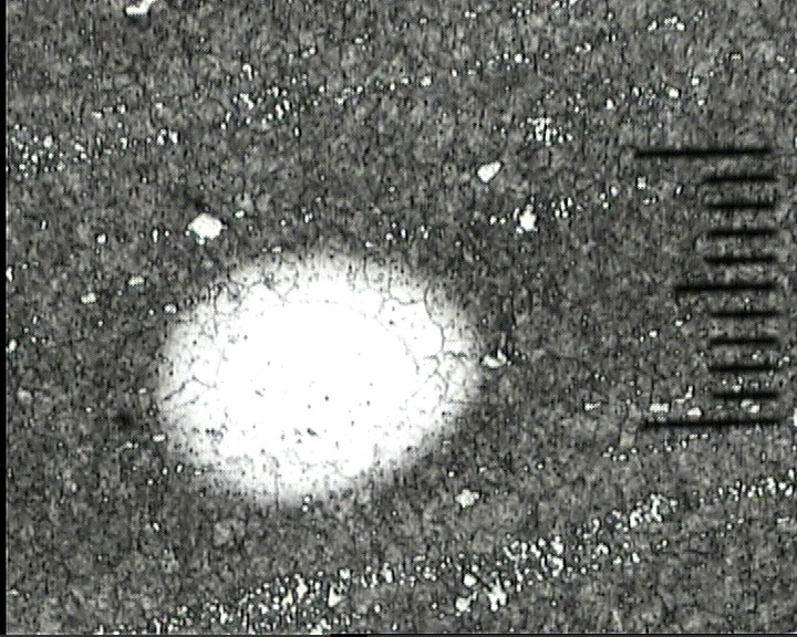 6542（100x）-3.jpg