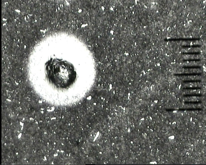 M35（100x）-2.jpg