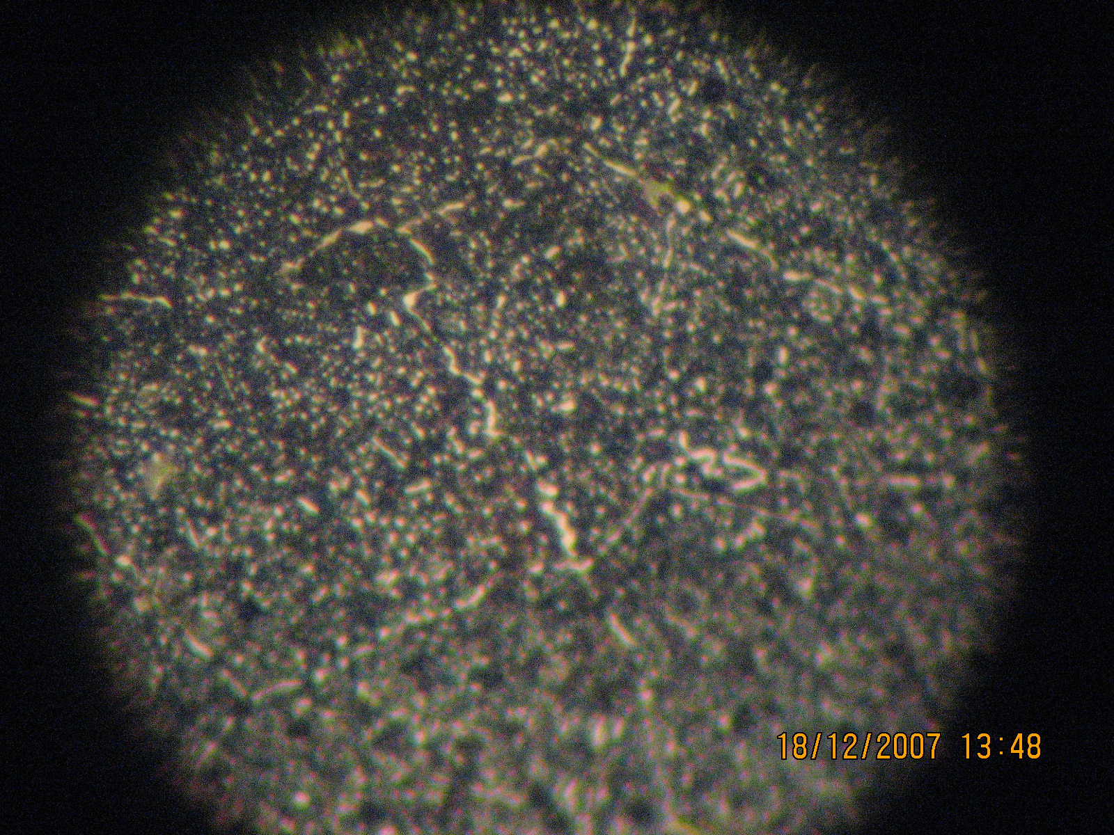 IMG_0114.JPG