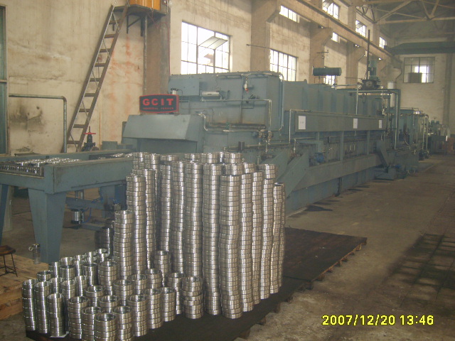 S6001506.JPG