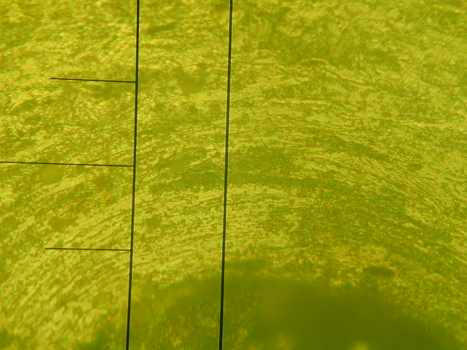 DSCN0012.JPG