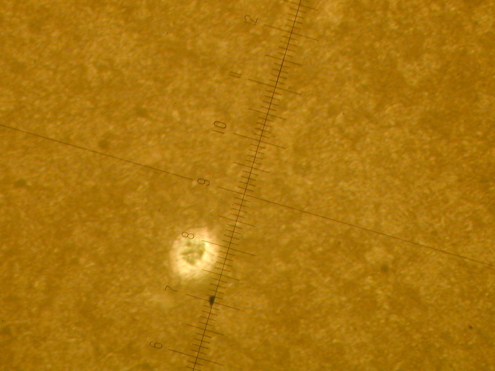 DSCN0033.JPG