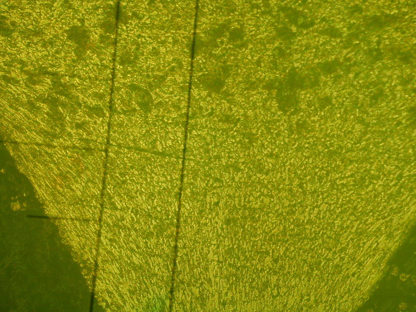 DSCN0006.JPG