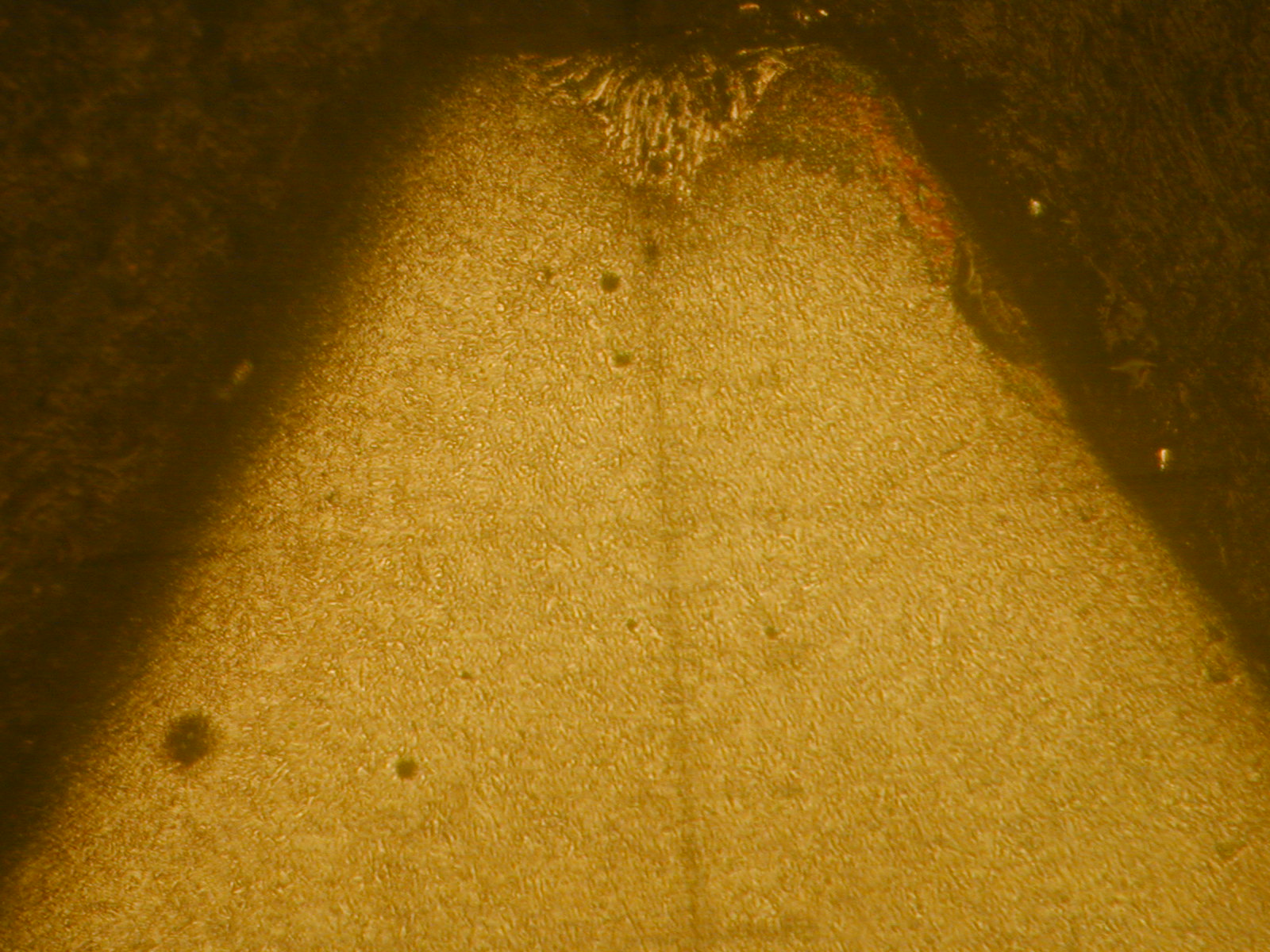 DSCN0022.JPG