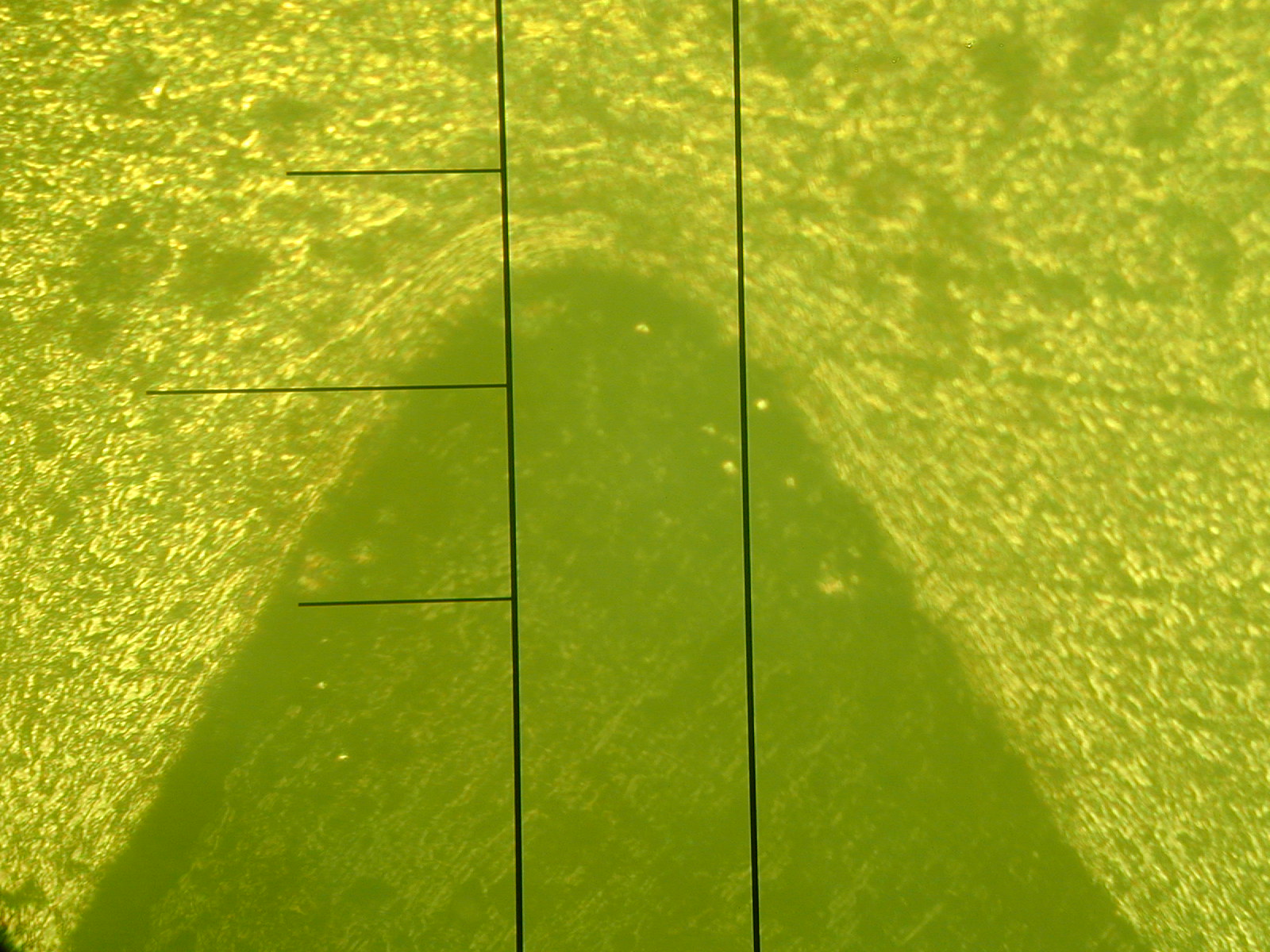 DSCN0003.jpg