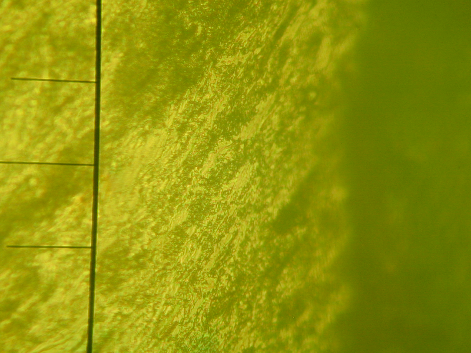 DSCN0016.JPG