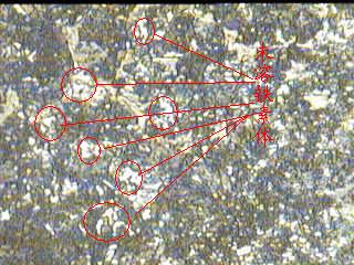 20071224_7d51dda1be667ce294bfm1DPgjD37Kvz.jpg