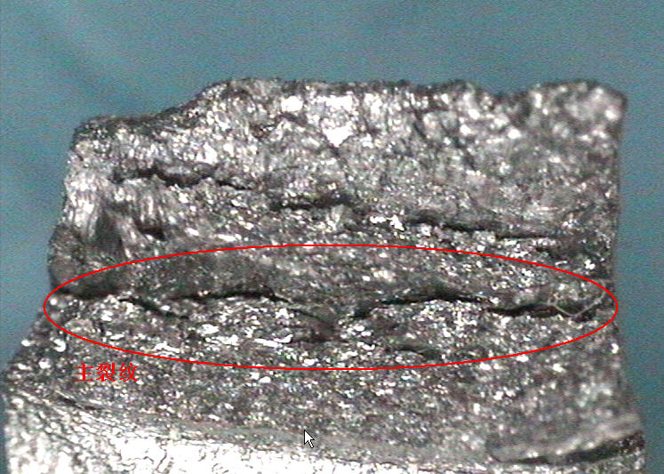 macro-3.jpg