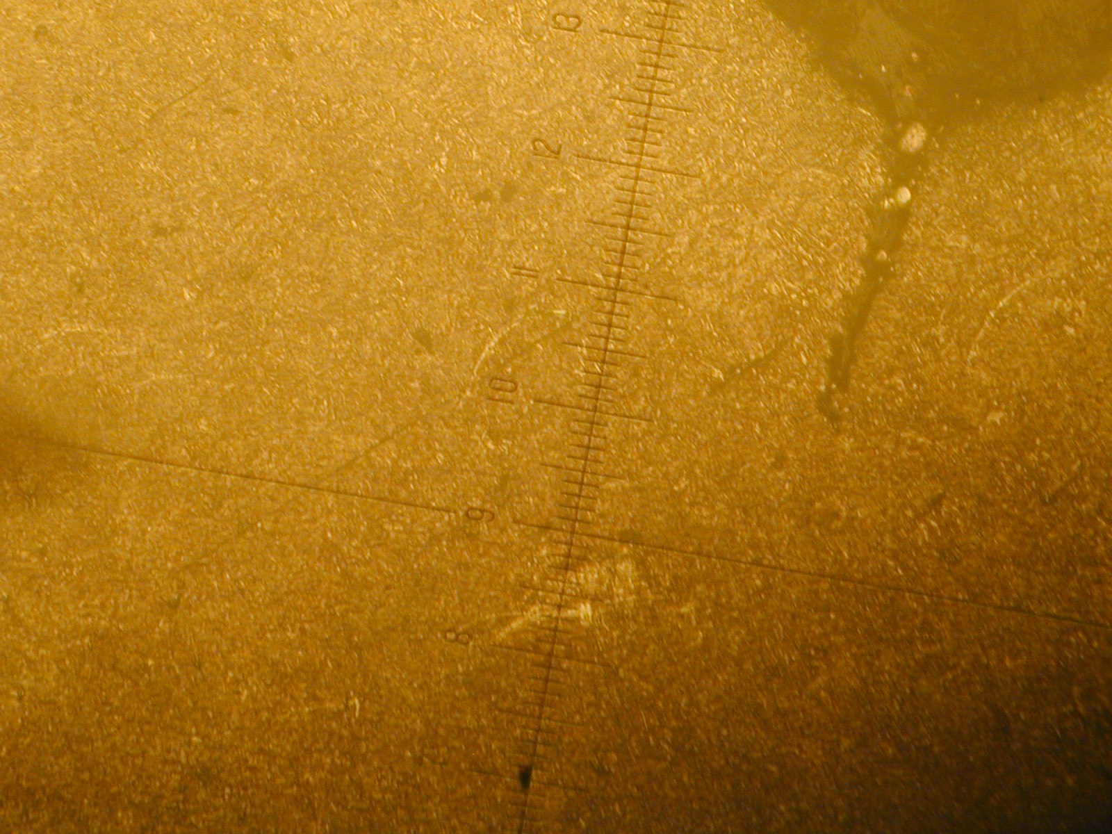 DSCN0005.JPG