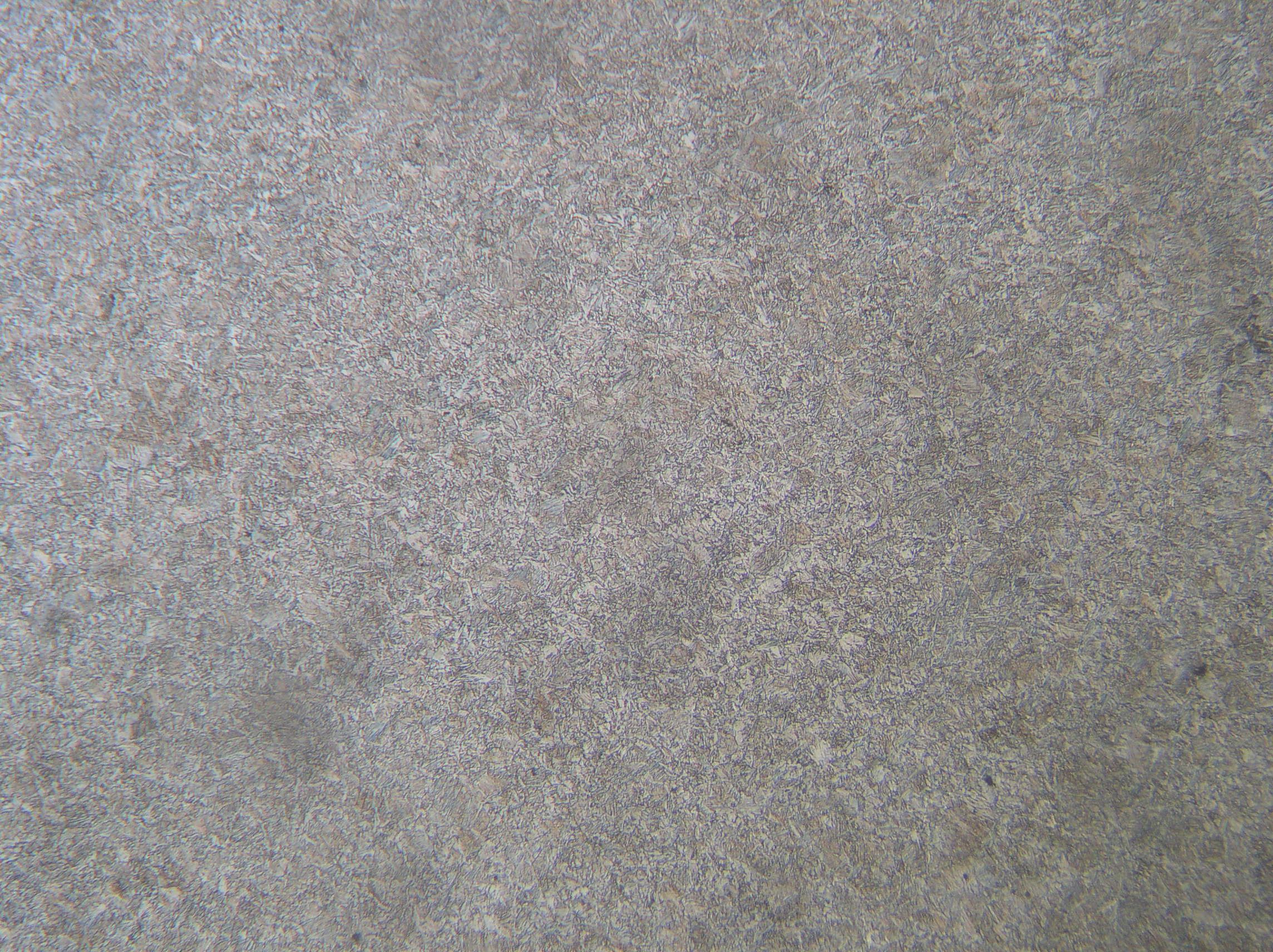 P1010007.jpg