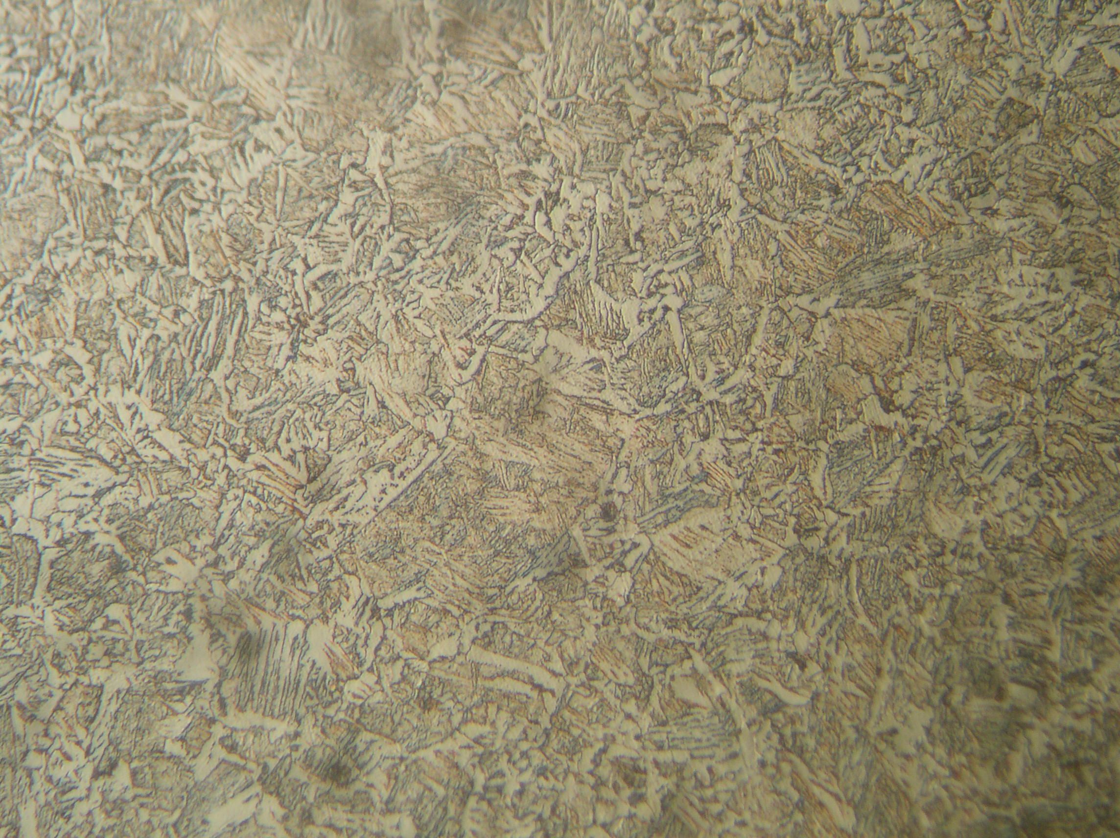 P1010004.jpg