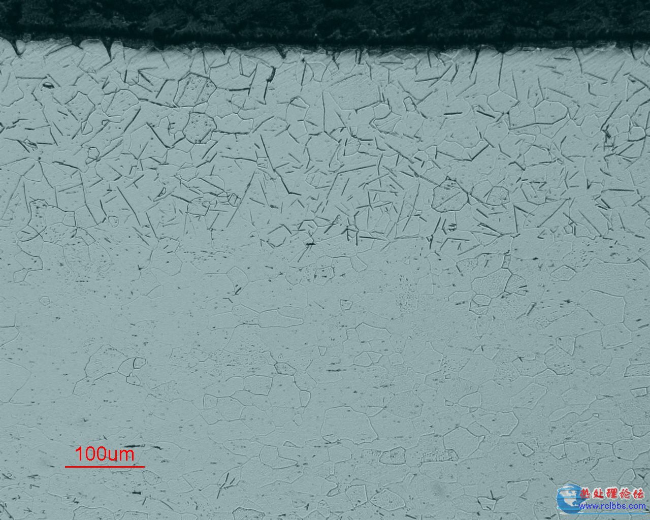 6305X100.jpg