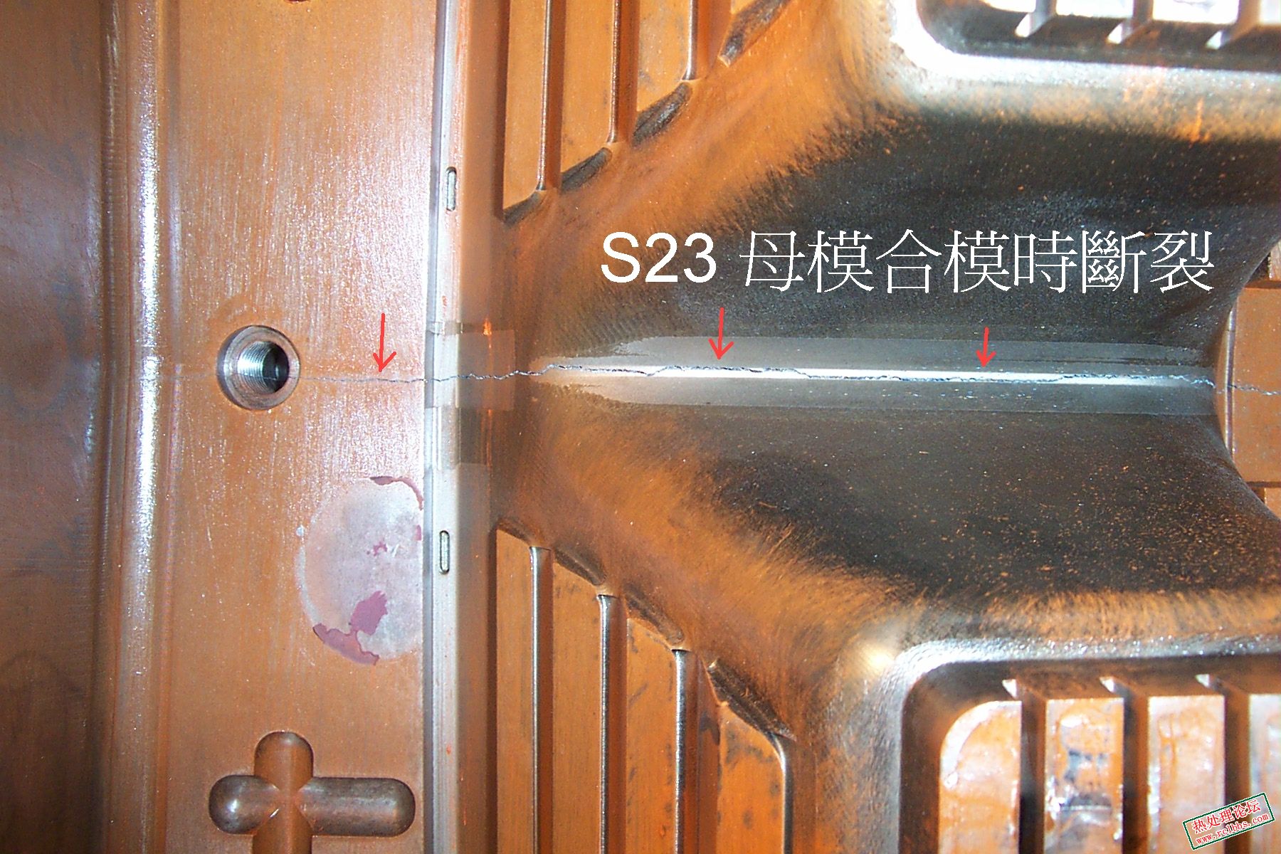 D25-L.JPG