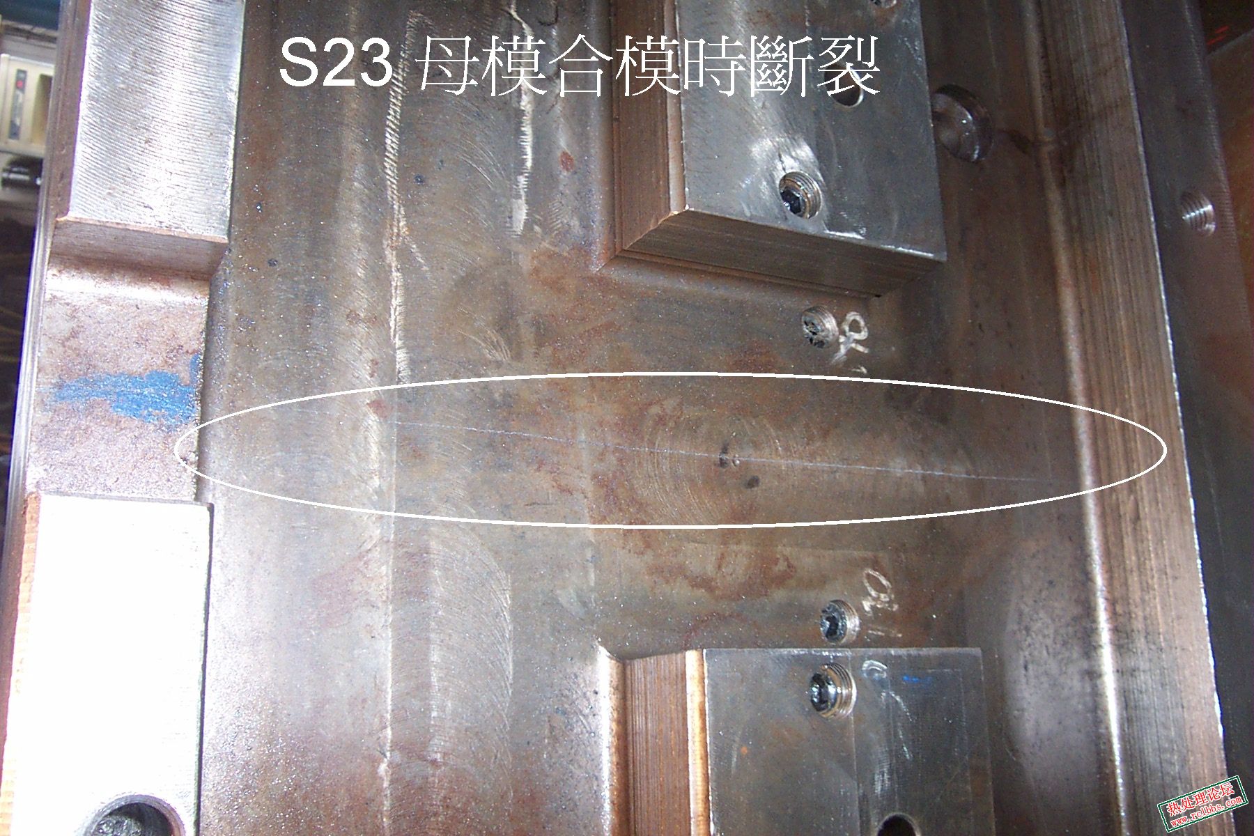 D25-M.JPG