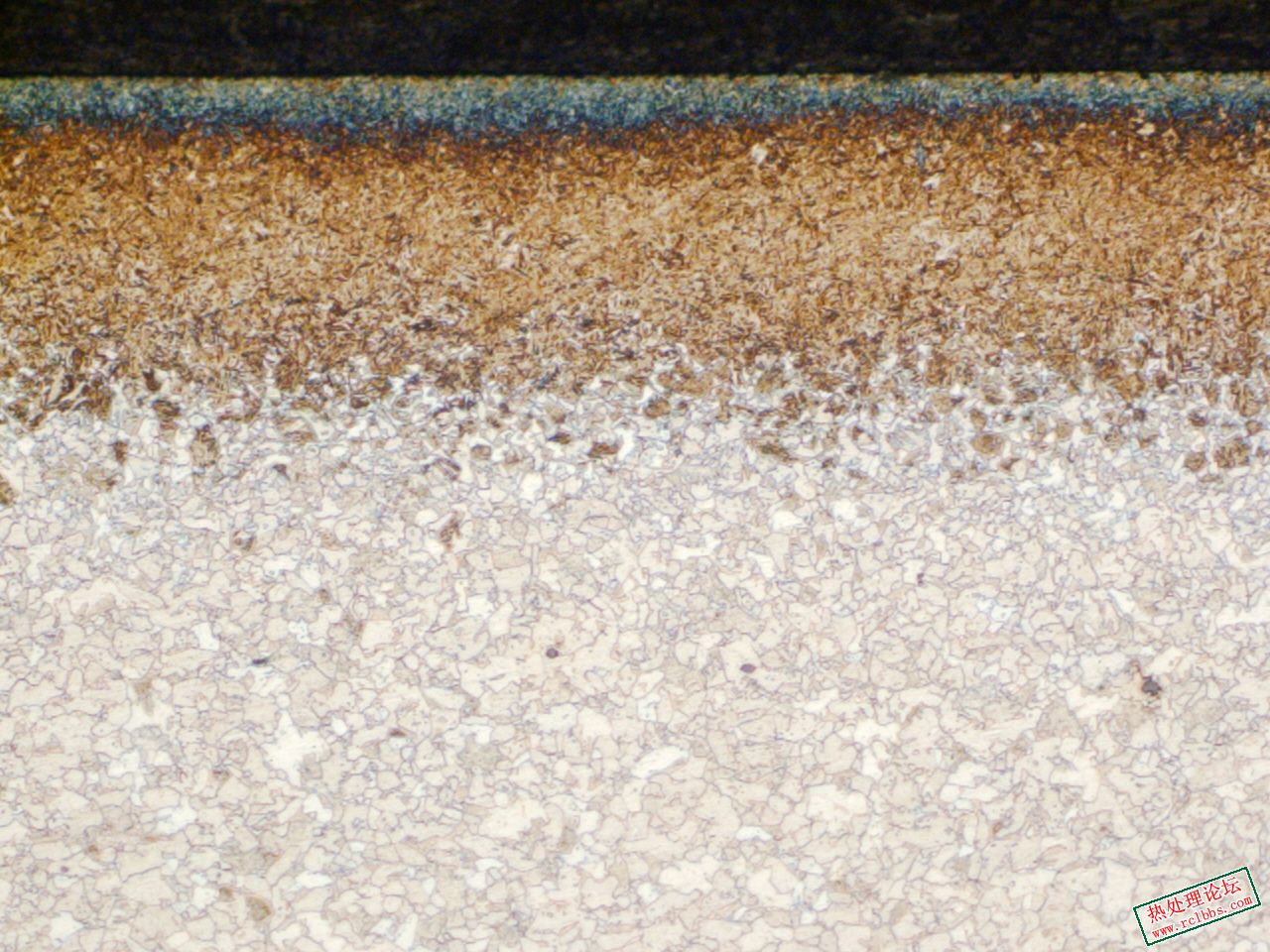 100X  880  1,1.jpg