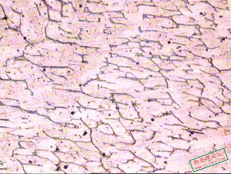 金相组织图谱2.jpg