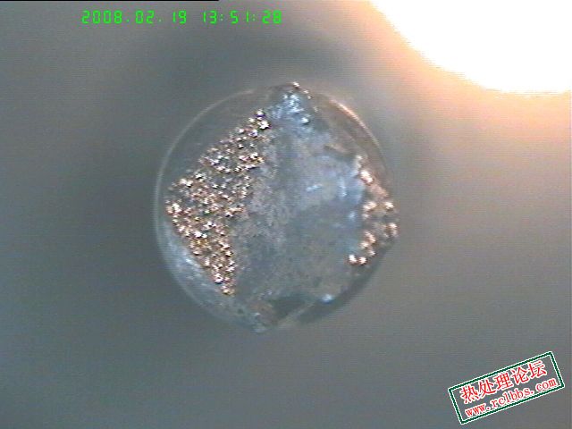 20080219-4.jpg