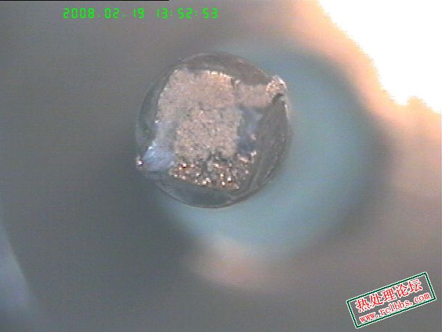 20080219-6.jpg