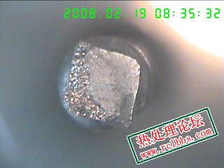 20080219-2.jpg