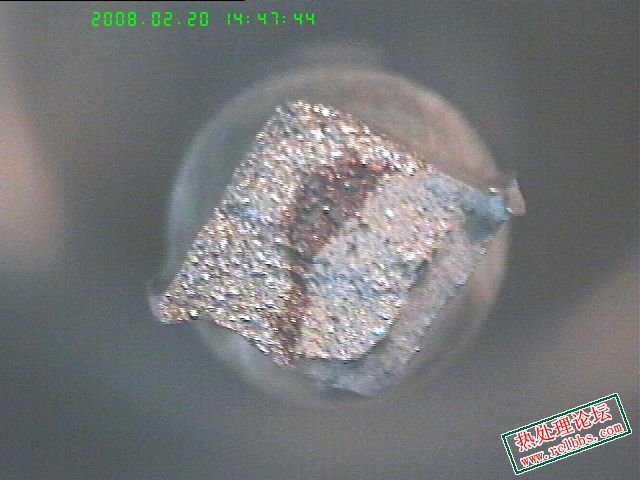 20080220-3.jpg