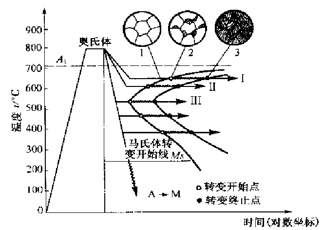 M转变.jpg