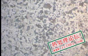 一次等温后试验SAE4320H(一般视场）.JPG