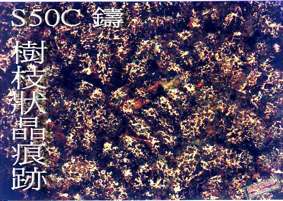 S50C_A.jpg