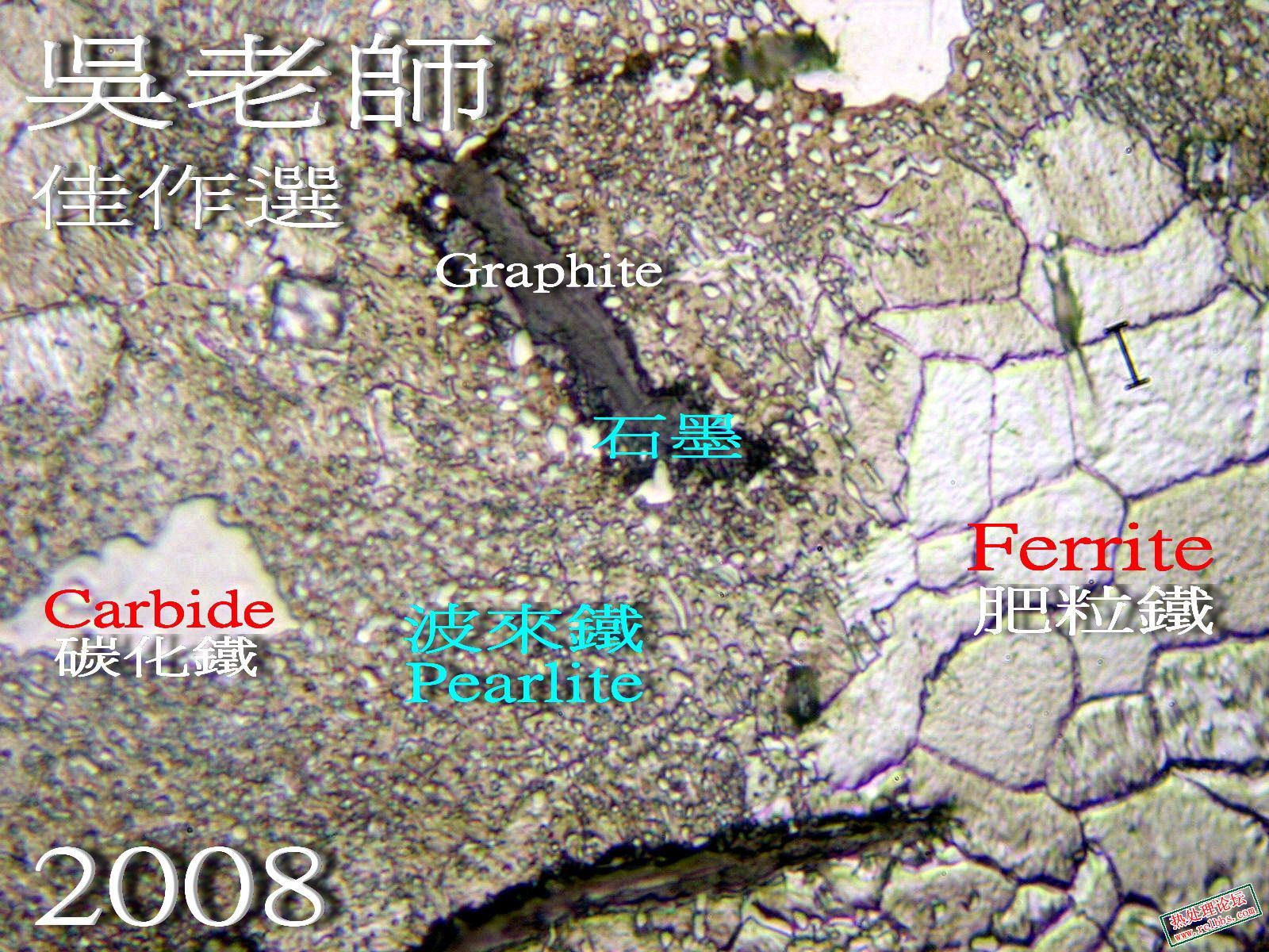 E.jpg