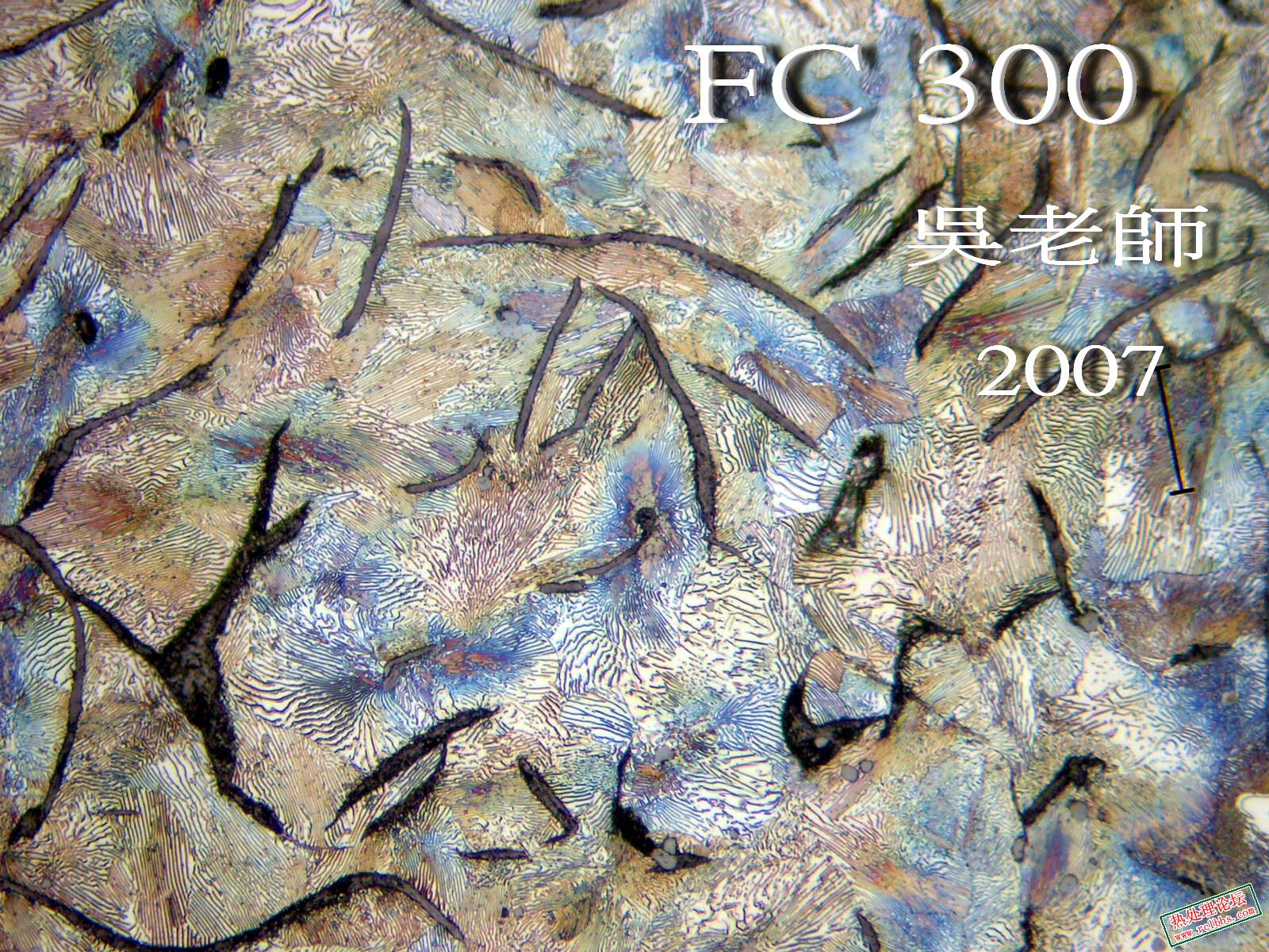 FC30_C.jpg