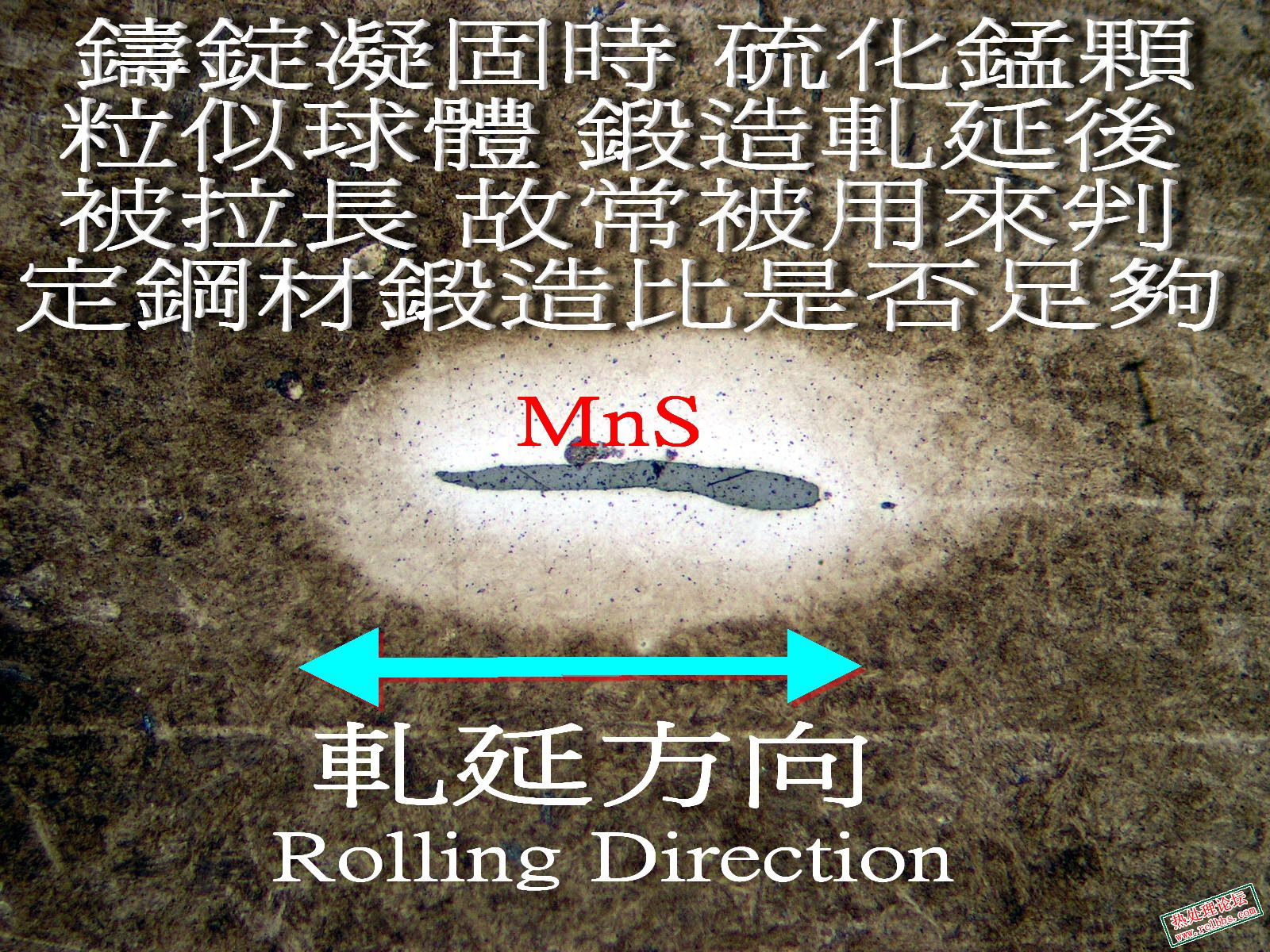 MnS.jpg