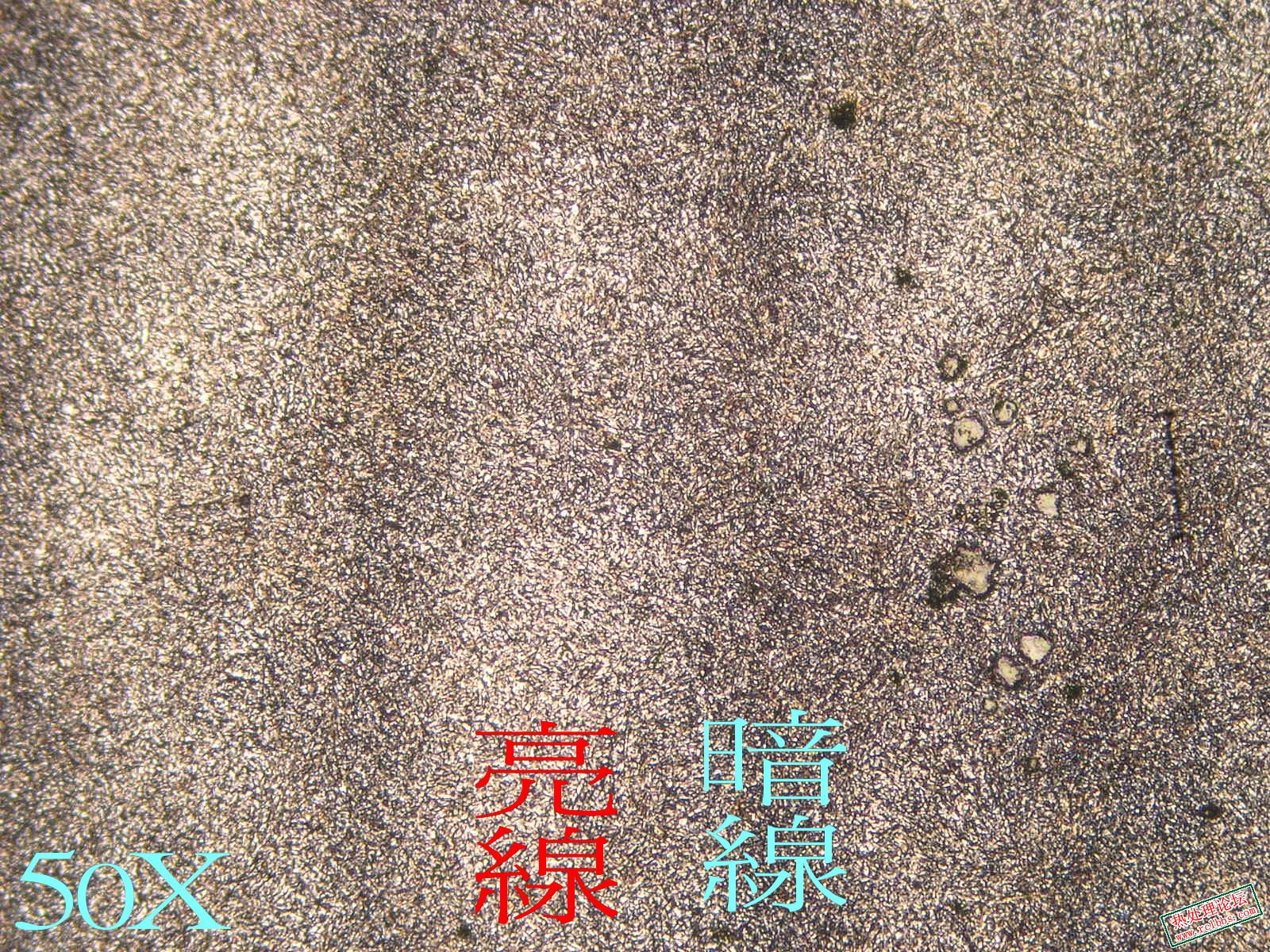 皮A.jpg