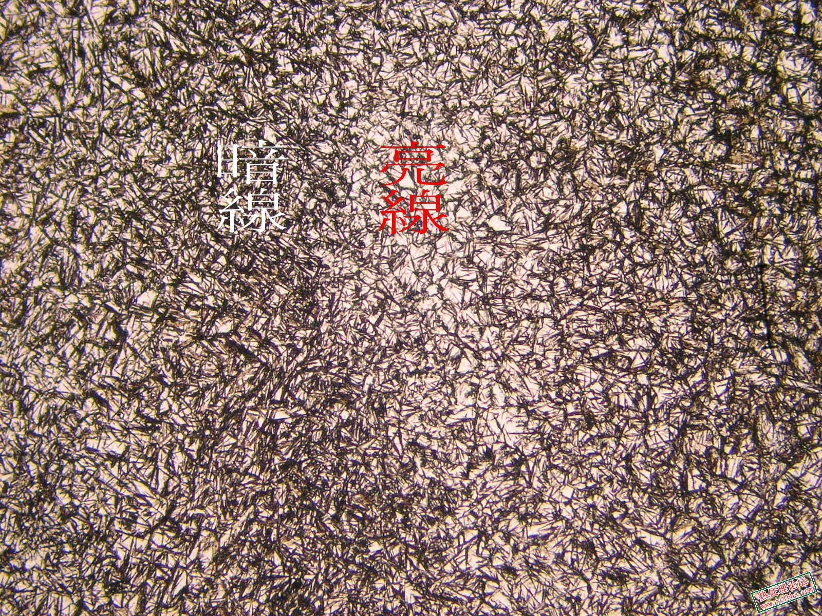 皮C.jpg