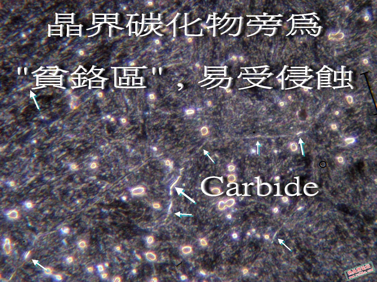 AP1011157.jpg