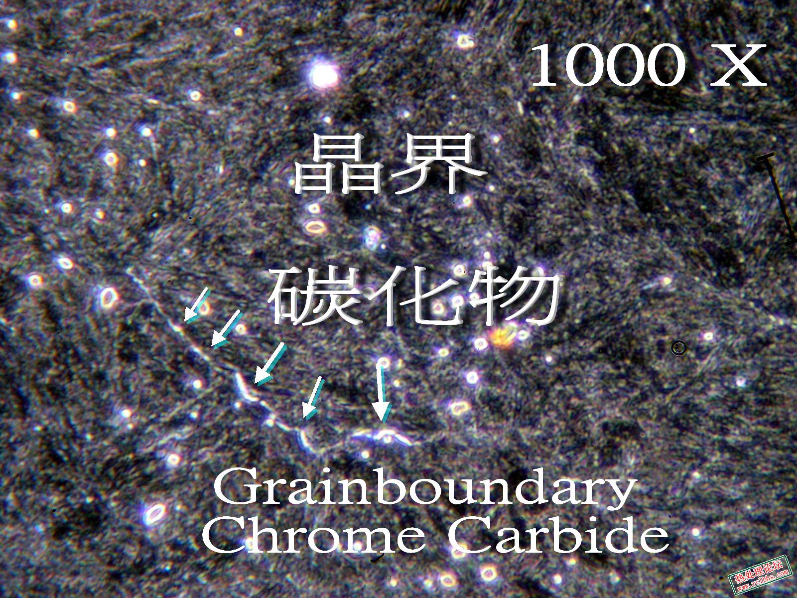 E1.jpg