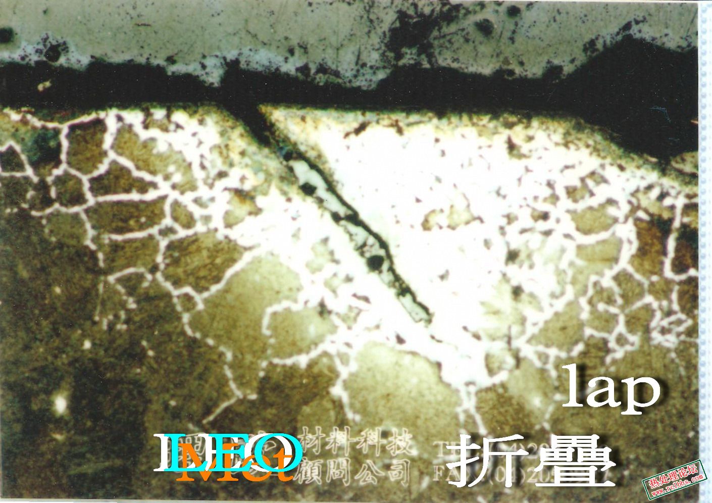 脫碳 a.jpg