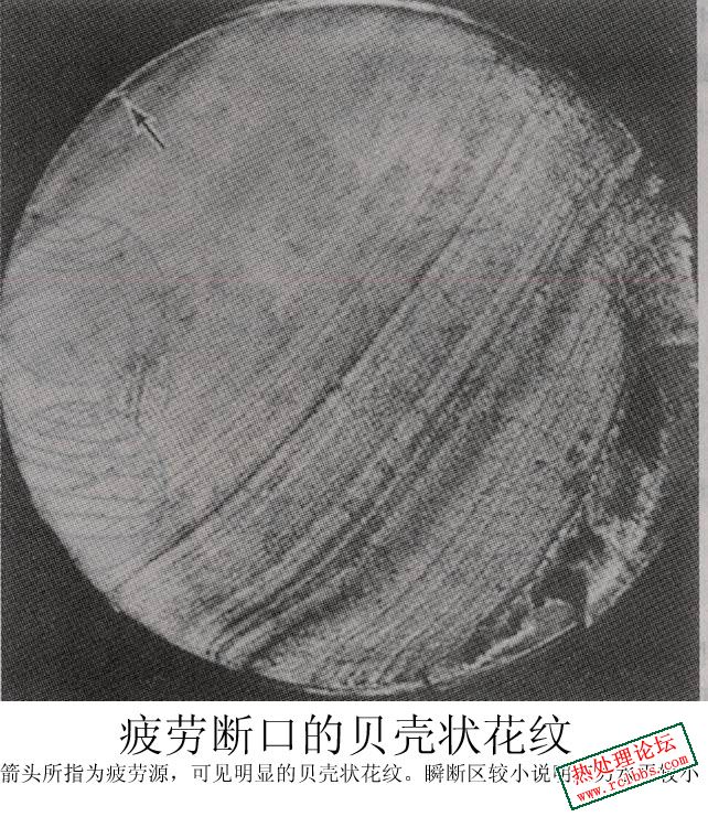 疲劳断口的贝壳状花纹（海滩条带）.jpg