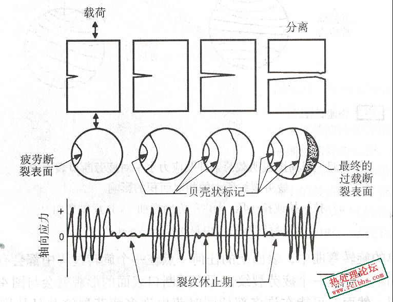 疲劳断口上贝壳状花纹的形成机理.jpg
