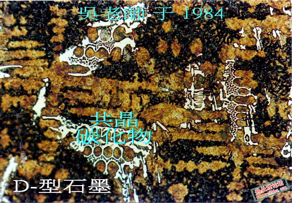 灰白共存區.jpg