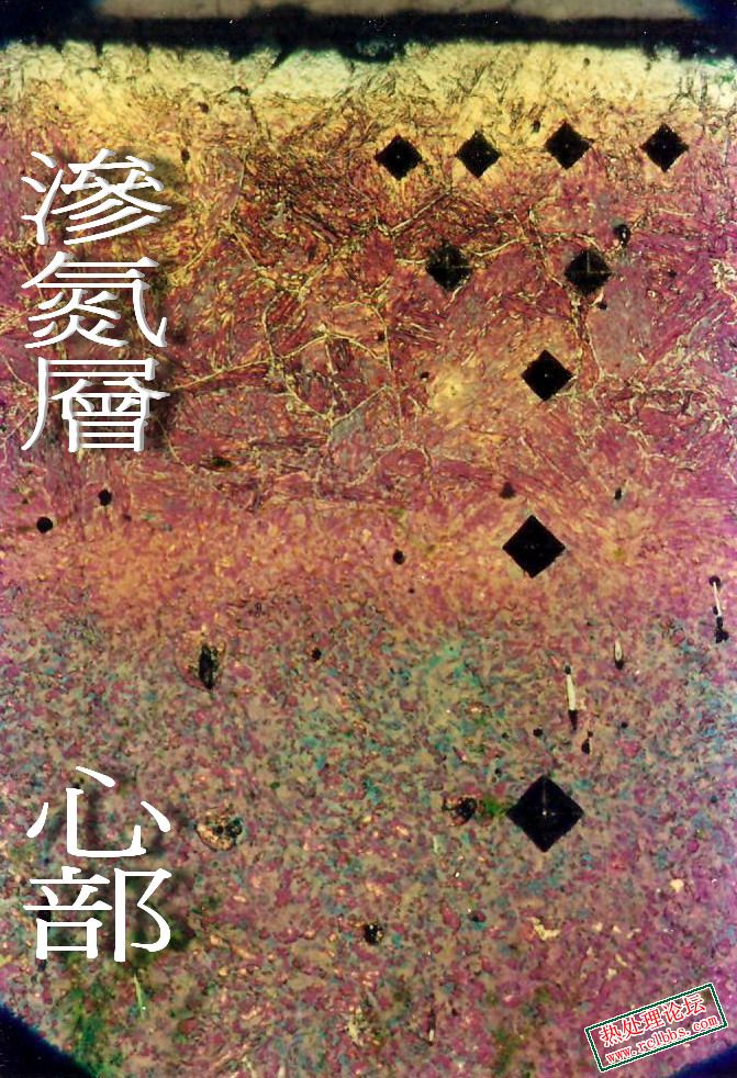 滲氮層.jpg
