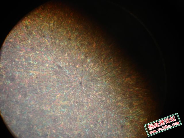 DSC07006.JPG