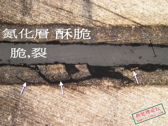 GBN 2.JPG